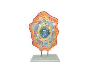 BioLab Products